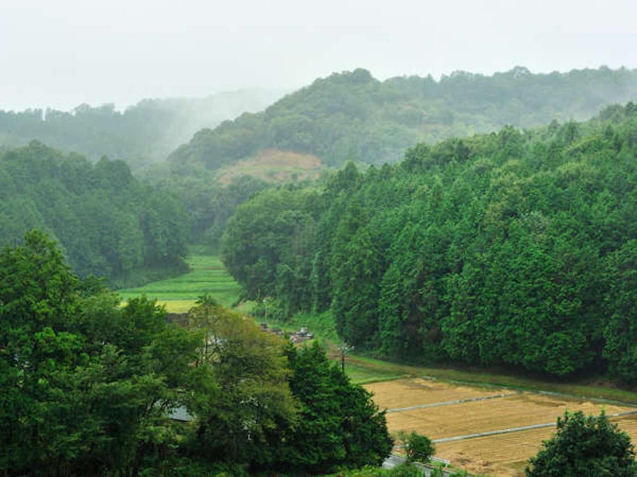 Mashikokan Satoyama Resort Hotel מראה חיצוני תמונה